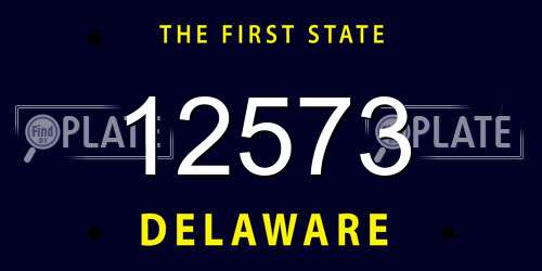 12573 Delaware License Plate