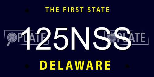 125NSS Delaware License Plate