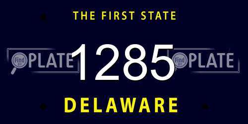 1285 Delaware License Plate