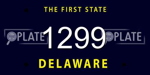 1299 Delaware License Plate