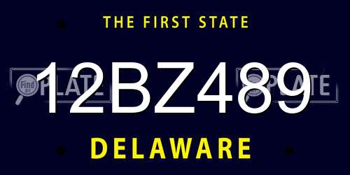 12BZ489 Delaware License Plate
