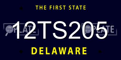 12TS205 Delaware License Plate