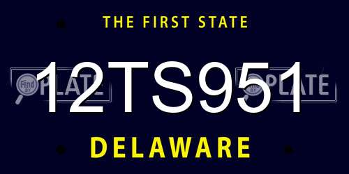 12TS951 Delaware License Plate