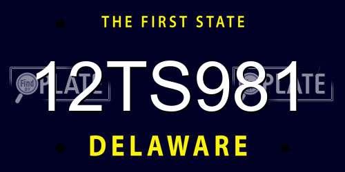 12TS981 Delaware License Plate