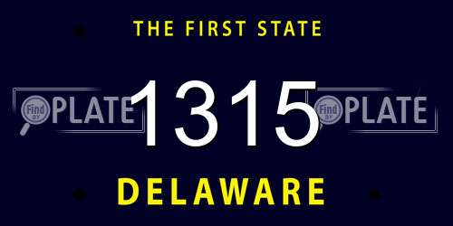1315 Delaware License Plate