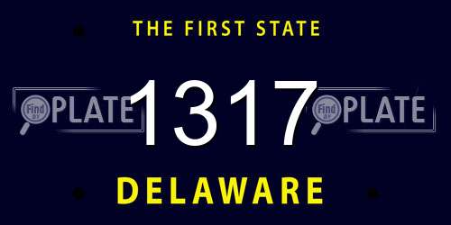 1317 Delaware License Plate