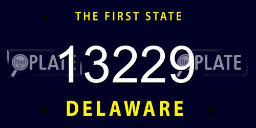 13229 Delaware License Plate