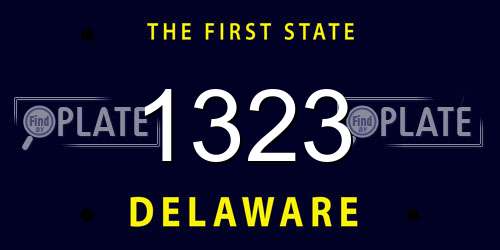 1323 Delaware License Plate