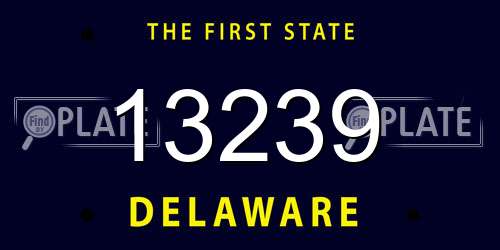 13239 Delaware License Plate