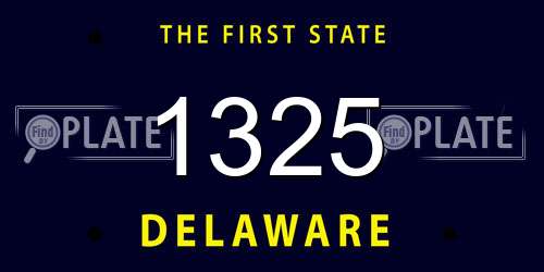 1325 Delaware License Plate