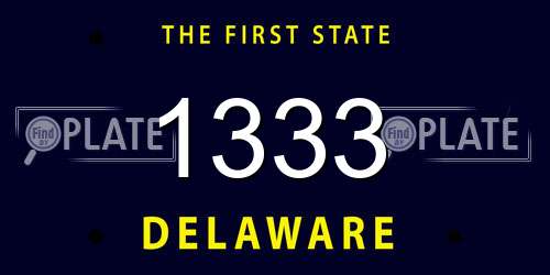 1333 Delaware License Plate