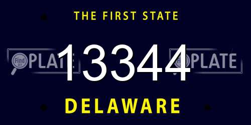 13344 Delaware License Plate