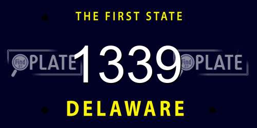1339 Delaware License Plate