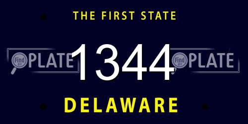 1344 Delaware License Plate
