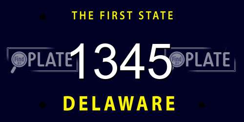 1345 Delaware License Plate