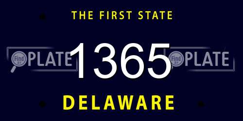 1365 Delaware License Plate