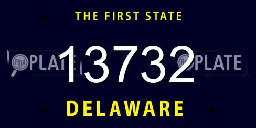 13732 Delaware License Plate