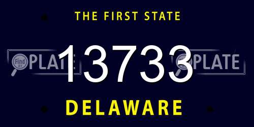 13733 Delaware License Plate