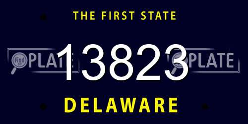 13823 Delaware License Plate