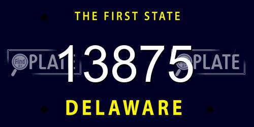 13875 Delaware License Plate