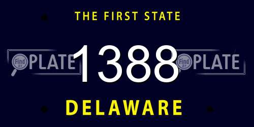 1388 Delaware License Plate