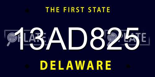 13AD825 Delaware License Plate