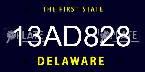 13AD828 Delaware License Plate