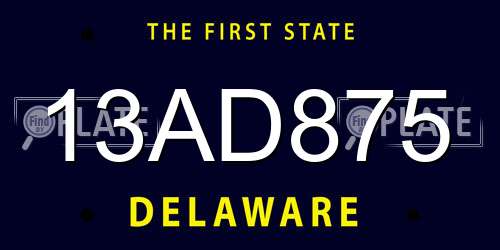 13AD875 Delaware License Plate