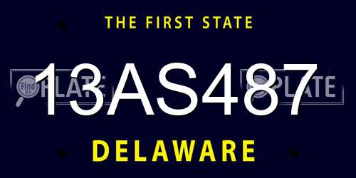 13AS487 Delaware License Plate