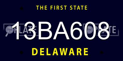 13BA608 Delaware License Plate