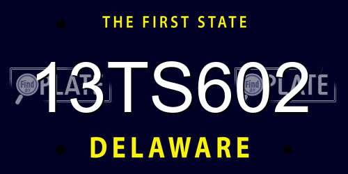 13TS602 Delaware License Plate