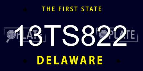 13TS822 Delaware License Plate