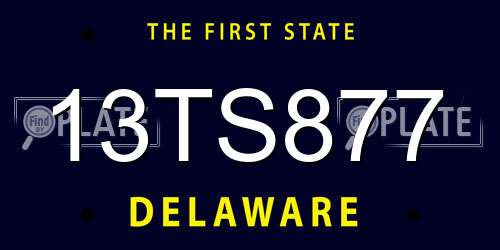 13TS877 Delaware License Plate