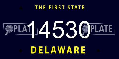 14530 Delaware License Plate