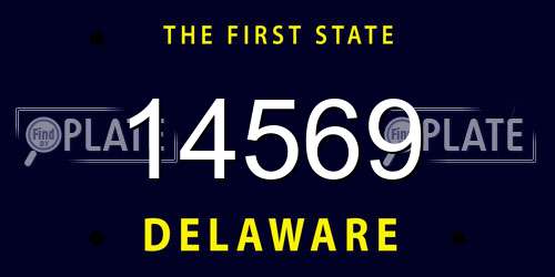 14569 Delaware License Plate