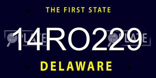 14RO229 Delaware License Plate