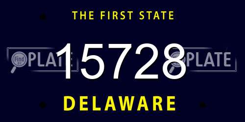 15728 Delaware License Plate