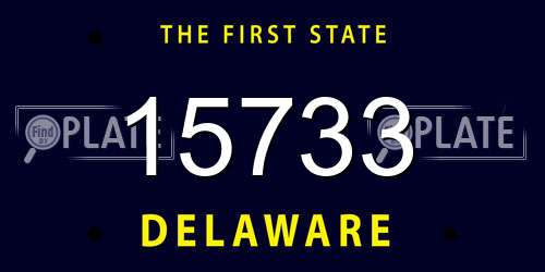 15733 Delaware License Plate