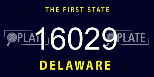 16029 Delaware License Plate