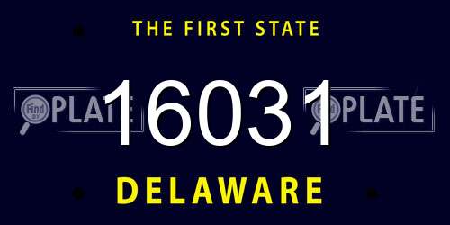 16031 Delaware License Plate