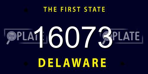 16073 Delaware License Plate