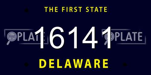 16141 Delaware License Plate