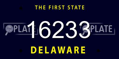 16233 Delaware License Plate
