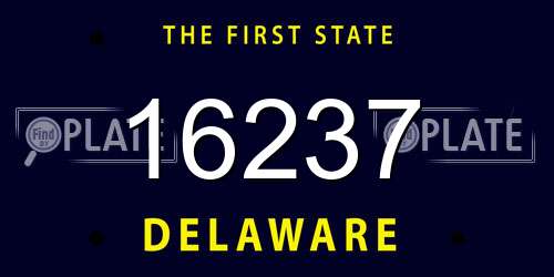 16237 Delaware License Plate