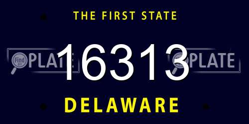 16313 Delaware License Plate