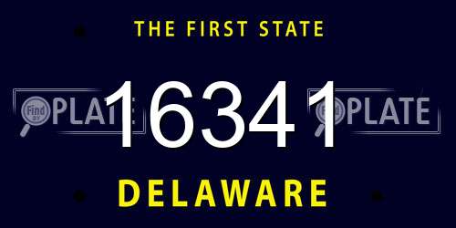 16341 Delaware License Plate