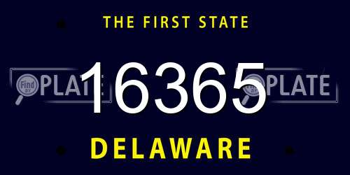 16365 Delaware License Plate