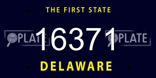 16371 Delaware License Plate