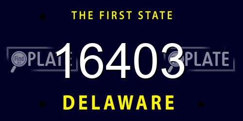 16403 Delaware License Plate