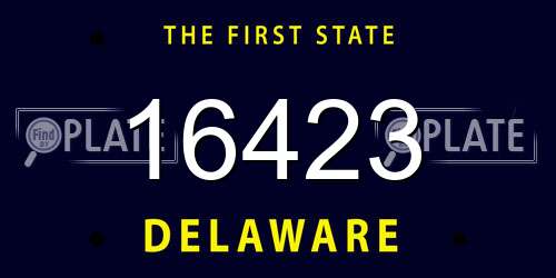 16423 Delaware License Plate
